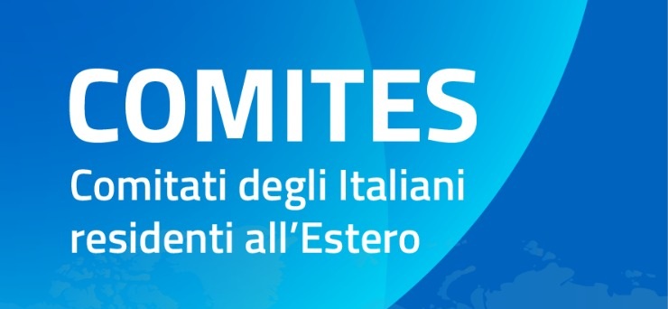 Vai alla pagina https://ambilcairo.esteri.it/it/servizi-consolari-e-visti/servizi-per-il-cittadino-italiano/com-it-es-comitati-degli-italiani-allestero/elezioni-per-il-rinnovo-dei-com-it-es-comitati-degli-italiani-allestero-2026/